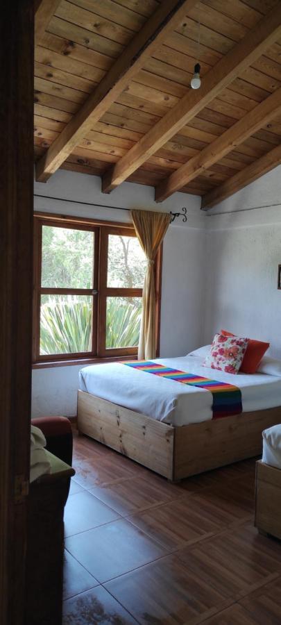 Cabanas Los Cactus 2 瓦斯卡坎波 外观 照片